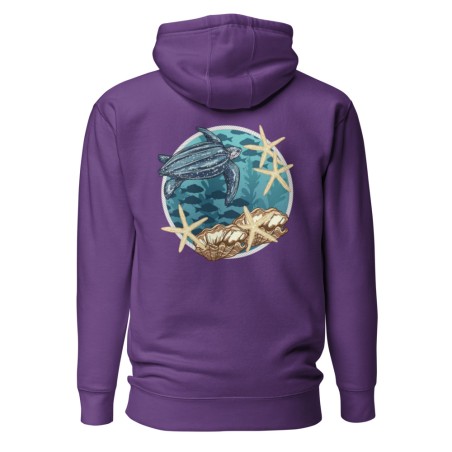 Ancient Traveler Hoodie