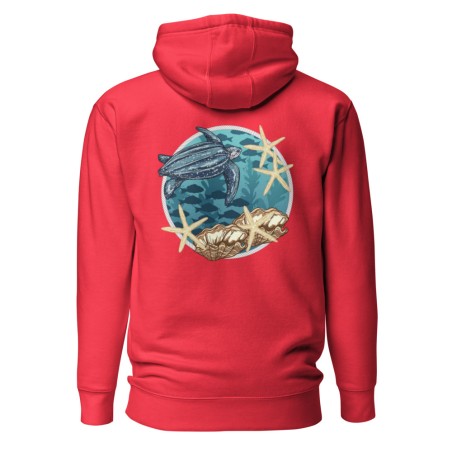 Ancient Traveler Hoodie