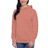 Ancient Traveler Hoodie