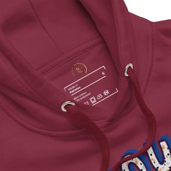 Adventure Waits Premium Hoodie