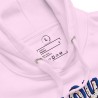 Adventure Waits Premium Hoodie