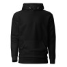 Boundless Beyond Premium Hoodie